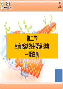 生物学①必修22《生命活动的主要承担者——蛋白质》PPT课件