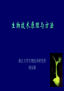 生物技术原理与方法(基因工程)