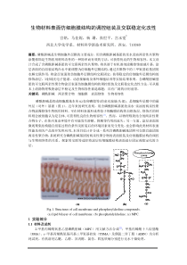 生物材料表面仿细胞膜结构的调控组装及交联稳定化改性