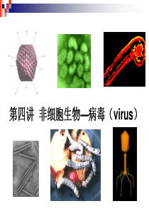 2016第四讲+非细胞生物