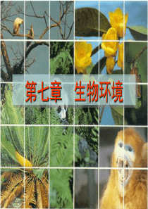 生物环境