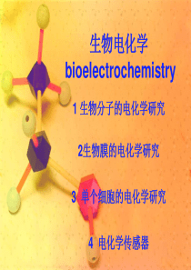 生物电化学 ppt