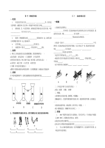 生物的无性生殖