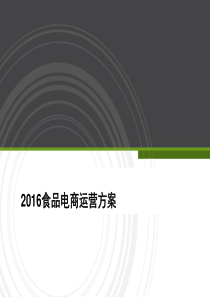 2016食品电商运营方案.