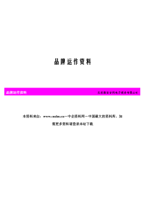 XX电子商务公司的品牌运作资料（DOC 149页）