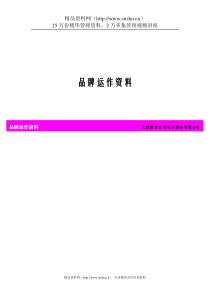 XX电子商务公司的品牌运作资料（DOC149页）