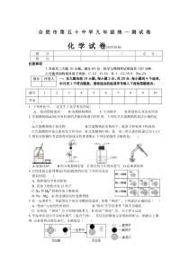 2015年安徽合肥50中学中考一模化学试题及答案