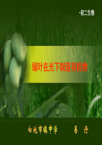 生物课 绿色植物在光下制造有机物A