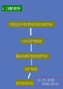 生物进化过程中微生物形成完善的代谢调节机制