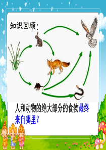 20第三单元-第四章-绿色植物是生物圈中有机物的制造者.