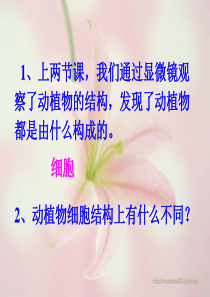 214细胞的生活(编辑)