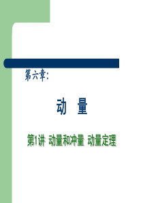 2013高中物理专题复习课件《动量》第1讲动量和冲量动量定理