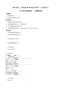 2013高考总复习ATP的主要来细胞呼吸学案