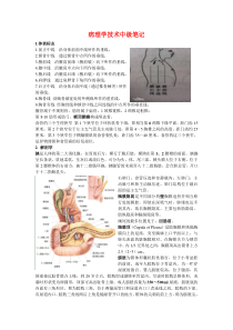 2015病理学技术考试知识点及回顾