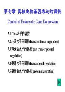 真核生物基因表达的调控