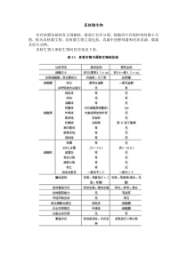 真核微生物讲义