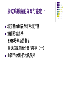 病原生物学实验课2-肠道病原菌的分离与鉴定1ppt-Po