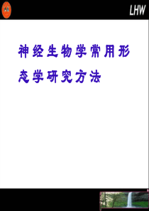 神经生物学常用形态学研究方法-桂林医学院[病理学]精品课