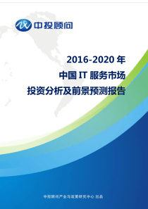 2016-2020年中国IT服务市场投资分析及前景预测报告