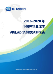 2016-2020年中国养猪业深度调研及投资前景预测报告