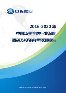 2016-2020年中国场景金融行业深度调研及投资前景预测报告