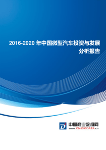 2016-2020年中国微型汽车投资与发展分析报告(目录)