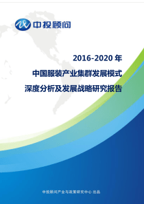 2016-2020年中国服装产业集群发展模式深度分析及发展战略研究报告