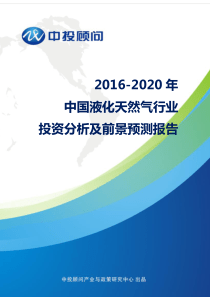 2016-2020年中国液化天然气行业投资分析及前景预测报告