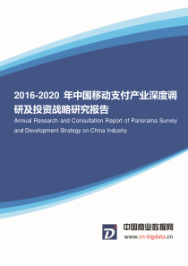 2016-2020年中国移动支付产业深度调研及投资战略研究报告(目录)