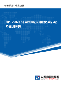 2016-2020年中国铜行业前景分析及投资规划报告(目录)