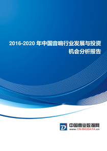 2016-2020年中国音响行业发展与投资机会分析报告(目录)