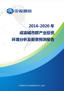 2016-2020年中成渝城市群产业投资环境分析及前景预测报告