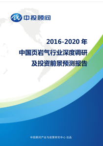 2016-2020年中国页岩气行业深度调研及投资前景预测报告