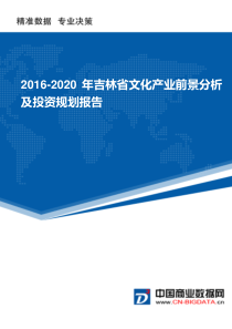 2016-2020年吉林省文化产业前景分析及投资规划报告(目录)