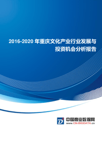 2016-2020年重庆文化产业发展与投资机会分析报告(目录)