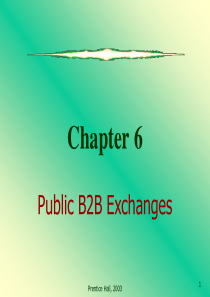 _06PublicB2BExchanges(电子商务,英文版)