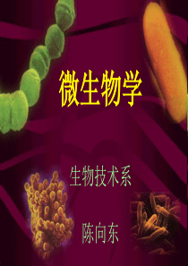 第1章 微生物学讲义 武汉大学