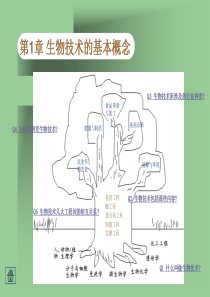 第1章生物技术的基本概念