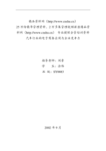 _汽车行业的电子商务应用与企业竞争力