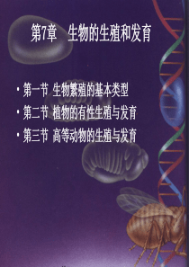 第7章 生物的生殖和发育