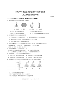 201604徐汇二模试卷(含答案)