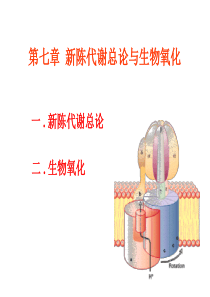 第七章新陈代谢总论与生物氧化