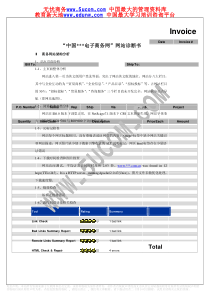 “中国电子商务网”网站诊断书