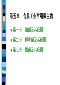 第七章食品工业常用微生物-第七章发酵食品微生物