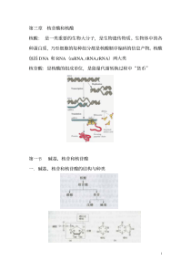 第三章核苷酸和核酸核酸：是一类重要的生物大分子，是生物遗传