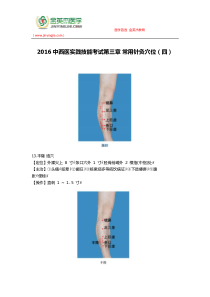 2016中西医实践技能考试第三章常用针灸穴位(四)