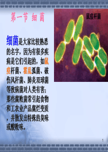 第二章 原核微生物