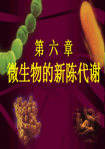 第六章微生物代谢