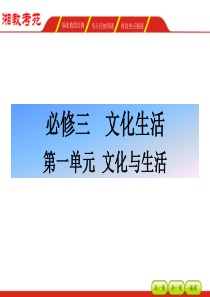 2016届高三政治一轮复习课件文化与生活