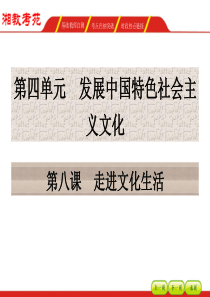 2016届高三政治一轮复习课件走进文化生活.